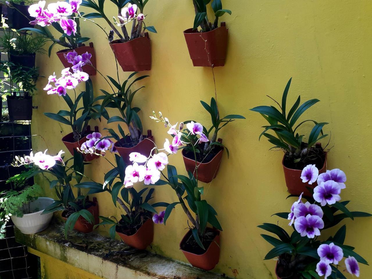 Vivaresidence Homestay Alappuzha Exterior foto